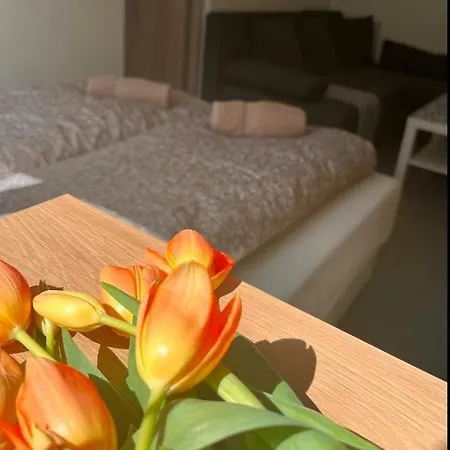 Apartmán Mozaik *
